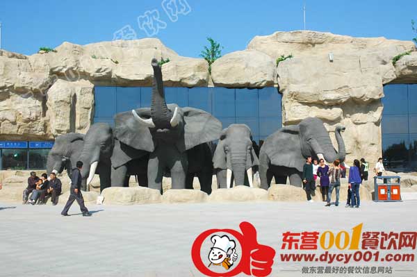 东营001餐饮网::黄河三角洲动物园(图)