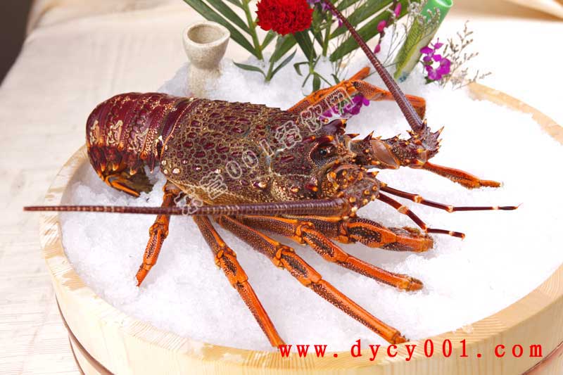 山东东营美食海鲜_海鲜美食图片_北海外沙海鲜美食岛(3)